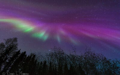 The Northern Lights in Gold Rush Country